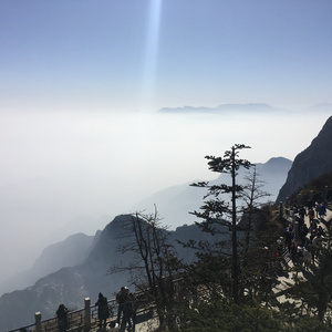 双飞老熟真败火
