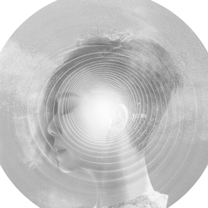 双飞老熟真败火
