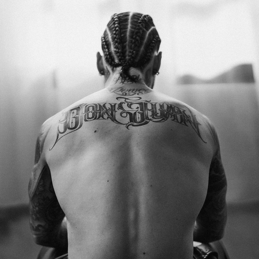 双飞老熟真败火
